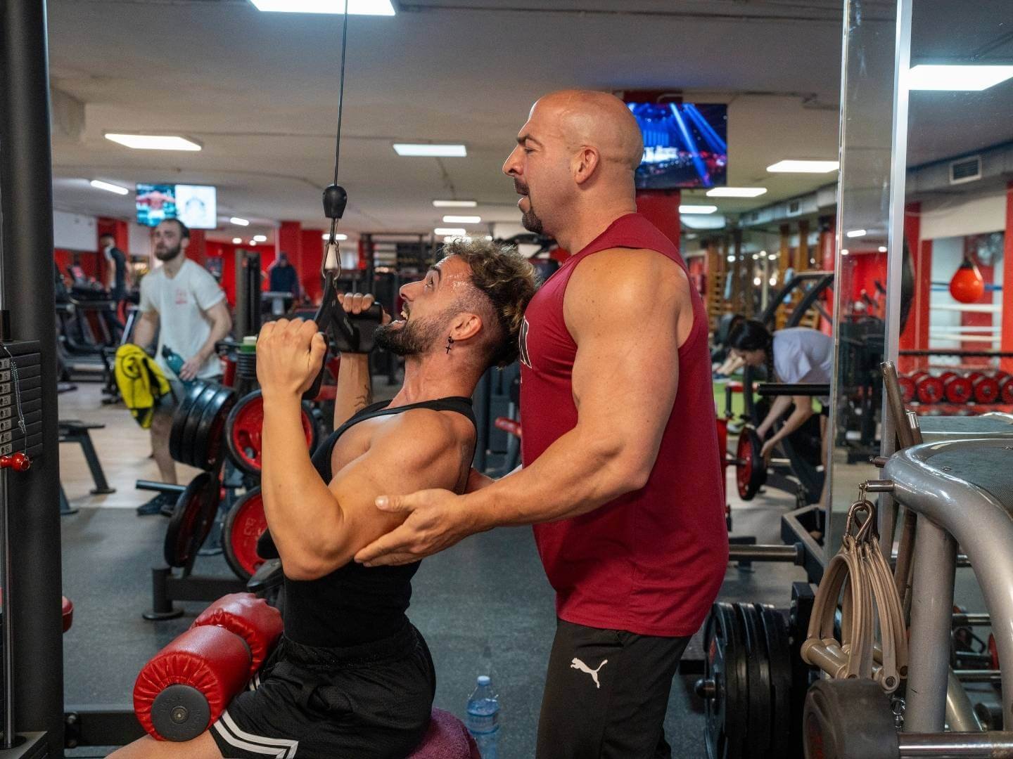 2 coach-feed-and-fit-asesoria-integral-online-nutricion-entrenamiento-salud